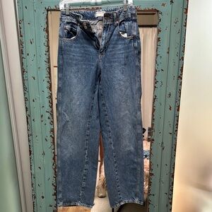 Free People Classic Blue Denim Jeans